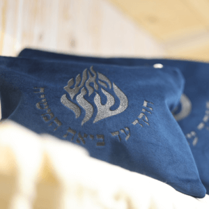 תיק טלית כחול2
